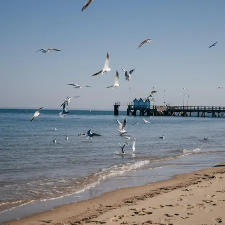Hotel Le B D'arcachon Arcachon